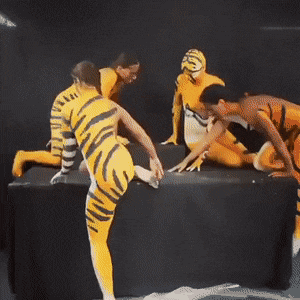 Tiger of colored girls
