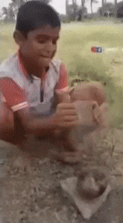 Coconut pounding