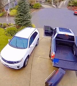 Driver stops barbecue and car