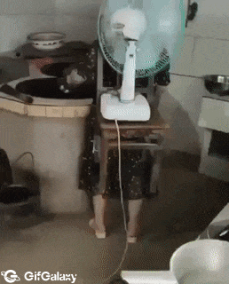 Woman cook and fan on back