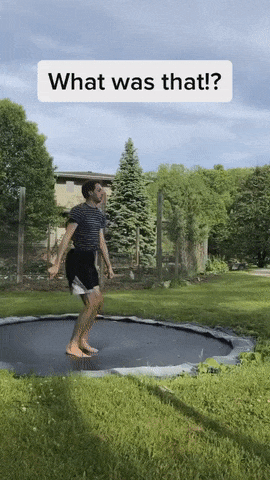 Snake on a trampoline