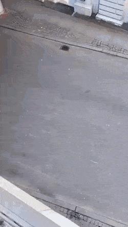 Spider man climbs up building