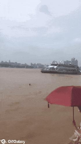 Man in water and dog