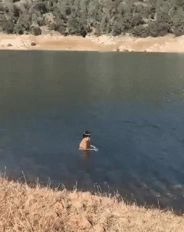 Boy in water and fish
