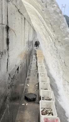 Fishing at waterfall