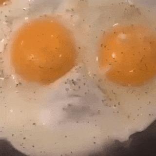 Egg seemingly sings