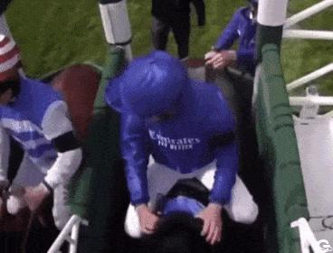Horse without rider in races