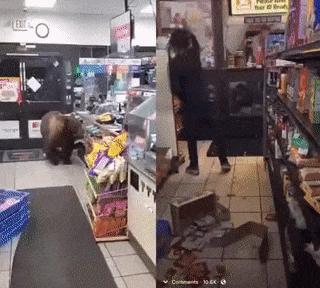 People vs animals in market