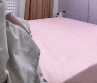 Dirty cat and clean bed