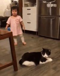 Cat knocks little girl down
