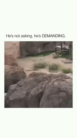 Monkey and woman with orange