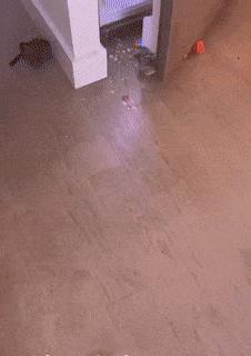 Children and food from refrigerator