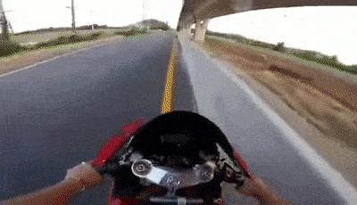 Motorcyclist feeds homeless dogs