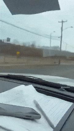 Biker and a dog on back