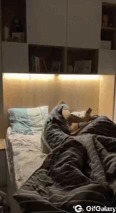 Husband and wife in bed and phone parody