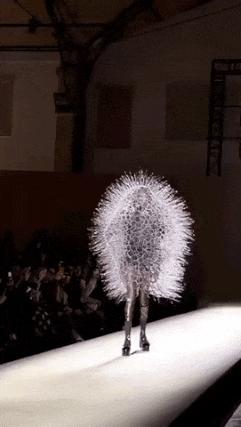 New fashion creation