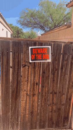 Beware of the dog