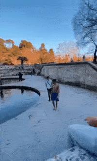 Dangerous swan and swimmer