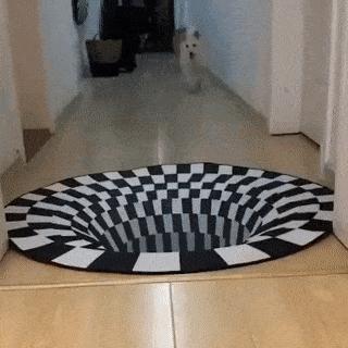 Optical illusion dog and cat