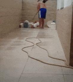 Rat escapes into siphon