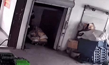 Elevator crash and lucky man