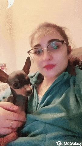 Dog and camera effect