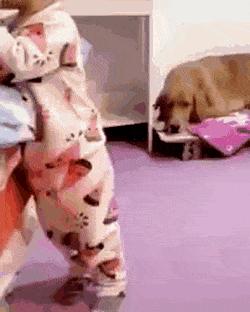 Dog helps child