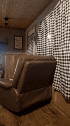 Dog moves curtain
