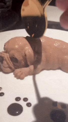 Dog ice cream and bucket