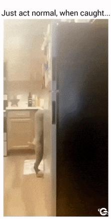 Dog walks on hind legs