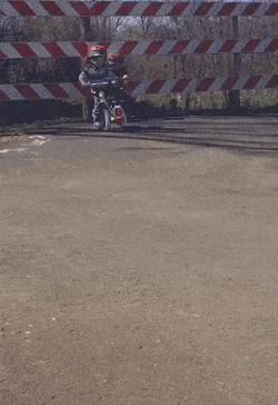 Friendship of children on bicycle