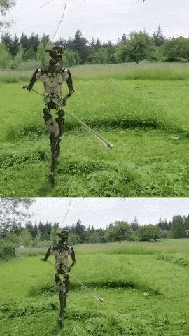 Robot mows grass