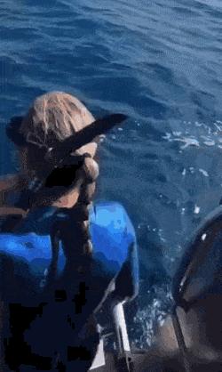 Diver girl and shark