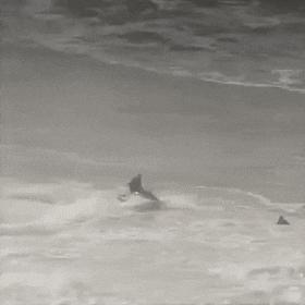 Rescue from a big wave