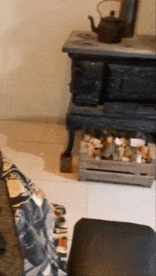 Wood stove and fridge