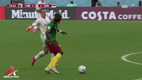 Serbia vs Cameroon