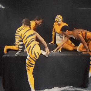 Tiger of colored girls