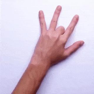 Trick with drawing animals