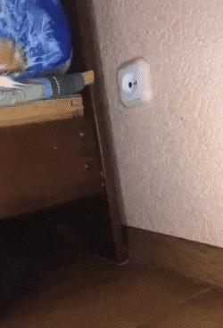 Plug charger in socket
