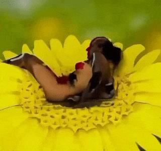 Woman is like a butterfly