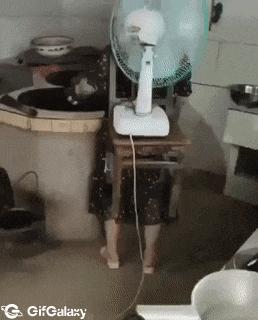 Woman cook and fan on back